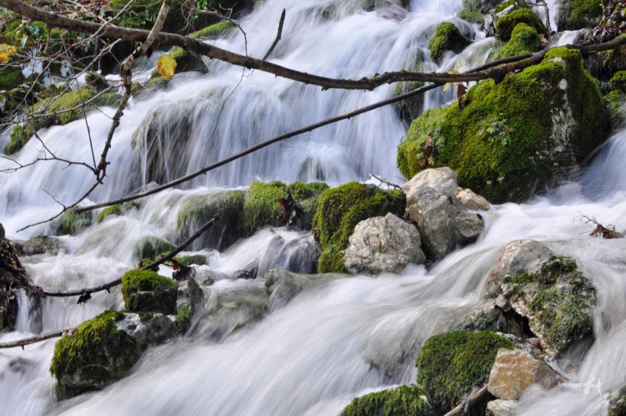Apartma Pr' Stengarju Lägenhet Bohinjska Bela Exteriör bild